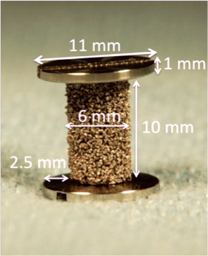 Figure 2. Experimental porous-coated titanium 2.5 mm gap implant with measurements.