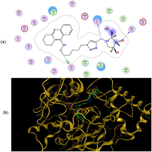 Figure 5. (a) Docking simulations for the interactions in the 11b-rhAChE complex. (b) Three-dimensional structure of rhAChE showing the binding mode of compound 11b. The residues, Ser203, His447, and Glu334 corresponding to the catalytic triad are depicted in sticks.