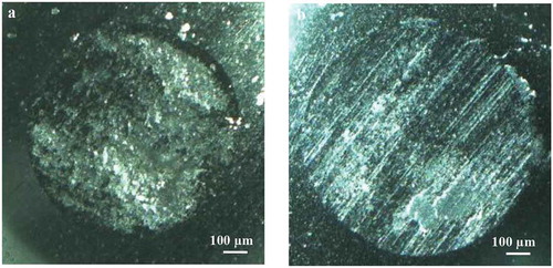 Figure 8. Microscope images of wear scars on SiC balls after sliding against B4C (a) and B4C-SiC (b) ceramics at 20 N.