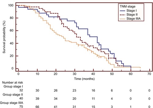Figure 1 Kaplan–Meier survival curves of overall survival analysis in patients with different disease stages (I vs IIIa: HR=0.579, 95% CI 0.385–0.872, p=0.011; II vs IIIa: HR=0.686, 95% CI 0.452–1.043, p=0.053).