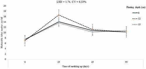 Figure 8. Interaction effect of depth of planting and time of earthing-up on marketable tuber number of potato.