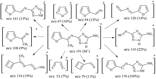 Figure 1. Proposed mass fragmentation pattern of triazole ligand (L1).