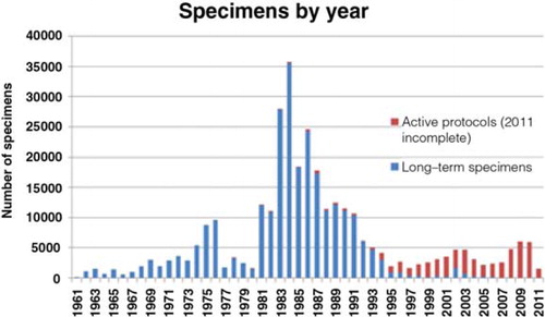 Fig. 1 Alaska Area Specimen Bank: active and inactive specimens by year of collection.Figure shows numbers of specimens collected by year, including those specimens now inactive and available for secondary use (blue) and those collected under an active protocol and not available for secondary use (red).