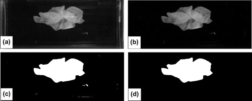 Figure 3. Overview of image processing steps. (a) Original image, (b) background subtraction, (c) conversion to binary image using an intensity threshold value, (d) small objects removed using a size filter.