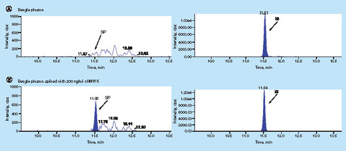 Figure 5. Representative 2D-LC–MS/MS chromatograms of surrogate peptide and internal standard in different matrices and samples.