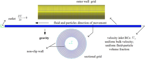 Figure 6. Simulation model and grids.