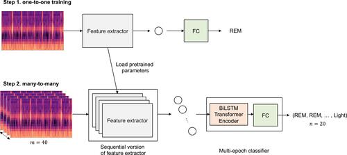 Figure 4 The two-step training flow of SoundSleepNet. Along with the simplified first step (one-to-one), the second step (many-to-many training) was shown with m being the number of input epochs and n being the number of output predictions. The two core elements in the second step were sequential version of feature extractor and multi-epoch classifier. The parameters pretrained in the first step were transferred for feature extractor, which were duplicated for many-to-many network. Multi-epoch classifier includes Bi-directional Long Short-Term Memory (Bi-LSTM) Transformer Encoder and fully connected layers (FC). While the first Transformer Encoder within the feature extractor (not shown in figure) aims to extract intra-epoch features, the second Transformer Encoder, BiLSTM Transformer Encoder within the multi-epoch classifier, extracts inter-epoch features. The head and tail of the transformer encoder’s output were removed before the last fully connected layer. Thus, only 20 predictions at the middle of the sequence were finally outputted, ensuring all predictions were made with consideration of both past and future epochs.