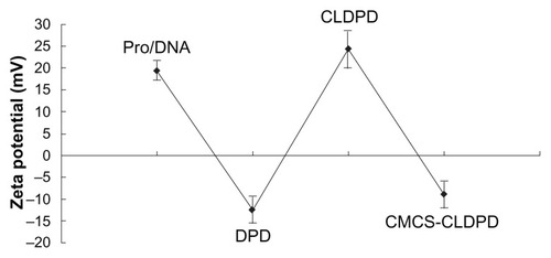 Figure 7 The changes of zeta potential during assembly process of o-carboxymethyl-chitosan cationic liposome-coated deoxyribonucleic acid/protamine/deoxyribonucleic acid complexes.Abbreviations: CMCS, o-carboxymethyl-chitosan; CLDPD, cationic liposome-coated deoxyribonucleic acid/protamine/deoxyribonucleic acid complexes; DNA, deoxyribonucleic acid; Pro, protamine.