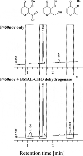 Figure 6. One-pot enzymatic conversion of BMAL to BMAL-COOH. The reactions were carried out with 90% (v/v) P450nov-expressing recombinant E. coli suspension, 1.5 µg/mL purified BMAL-CHO dehydrogenase of P. nitroreducens SB32154, and 0.25 mg/mL BMAL at 28°C for 20 h. BMAL derivative production was measured by 280 nm absorbance. The top chart indicates the conversion of BMAL using only P450nov, whereas the bottom chart indicates the conversion of BMAL using P450nov and BMAL-CHO dehydrogenase.