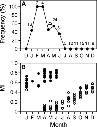 Fig. 5  Monthly changes in (A) frequency of appearance of an opaque zone on the outer margin of the centrum and in the (B) marginal increments (MI) of centrum in Seriola lalandi. Open and closed circles indicate the specimens with translucent and with opaque zones on the outer margin, respectively. Number of fish examined each month is indicated.