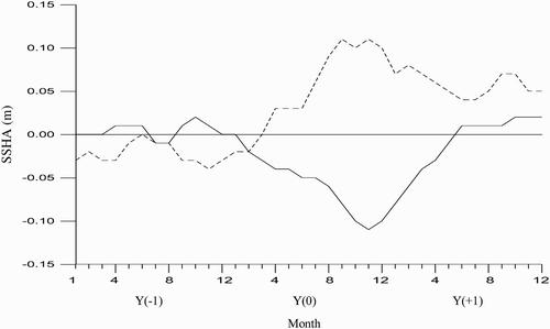 Fig. 10 Composite of the sea surface height anomaly in the ME region. The solid line indicates the composite El Niño event; the dashed line indicates the composite La Niña event.