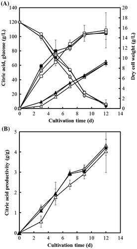 Fig. 8. Citric acid production (triangle) and glucose consumption (circle) by A. niger WU-2223L (solid), DCTPA-1 (hollow), and cCTPA-1 (shaded) (A) and citric acid productivities for each strain (B).