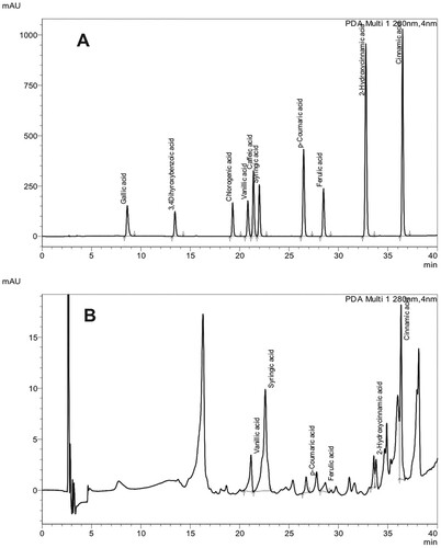 Figure 2. UPLC chromatograms of phenolic acid standards (A) and the compound eluted at Rf 0.8 from the TLC plate (B).