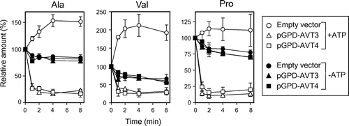 Fig. 2. Amino acid efflux by Avt3p or Avt4p-overproduction.Notes: 14C-labeled amino acids were preloaded into vacuolar membrane vesicles isolated from avt3∆avt4∆ cells carrying an empty vector (circles), pGPD-AVT3 (triangles), or pGPD-AVT4 (squares). Assay was performed in the presence (open symbols) or absence (closed symbols) of 2 mm ATP. The amount of preloaded 14C-labeled amino acids (0 min) was taken as 100%. The relative amounts trapped on the filters were plotted. The results are means±SD of three independent experiments.