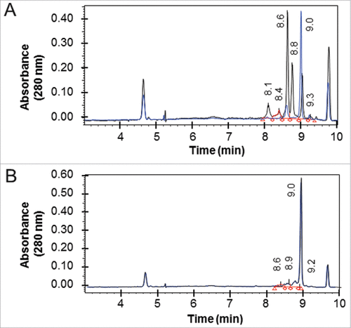 Figure 5. Isoelectric focusing of Fab-dsFv. The pI of non-reduced (black line) and reduced and alkylated (blue line) of purified (A) Fab' fragment and (B) Fab-dsFv was determined by iCE280 capillary isoelectric focusing. Samples were mixed with methylcellulose, pharmalytes (pH3-10) and synthetic pI markers prior to separation. For mild reduced and alkylated samples, iodoacetamide was used as the alkylating agent after reduction with Tris(3-hydroxypropyl)phosphine (THPP). Profiles were continuously detected at an absorbance of 280 nm. The pI values of the non-reduced sample are indicated on each graph. Calibrated electropherograms were analyzed using Empower 2 (Waters).