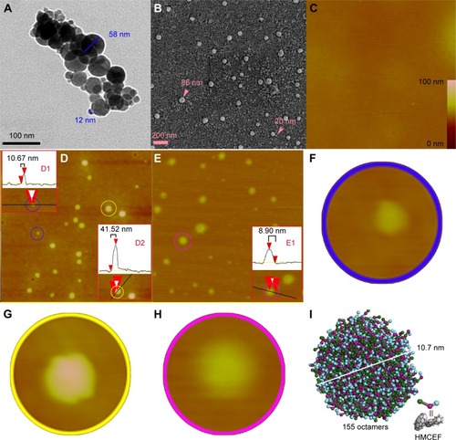 Figure 10 TEM, SEM and AFM images of HMCEF, as well as the prediction of a nanoparticle of 10.7 nm in diameter by mesoscale simulation.