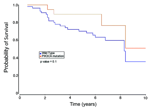 Figure 2. The Kaplan–Meier curves illustrating overall survival based on tumor PIK3CA mutational status.