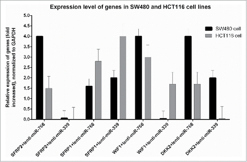 Figure 5. Expression analysis of studied tumor suppressor genes: Expression was calculated according to 2−ΔΔCt (fold change) formula compared to the data of non-transduced cells (P < 0.05). Note: the expression of all genes was not significantly different from non-transduced cells in HUVEC-766, HUVEC-339 and HUVEC-Sc.