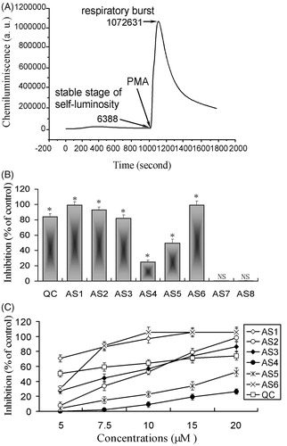 Figure 2. Inhibitory effects of AS on rat PMNs respiratory burst activated by PMA. (A) Dynamics curve of rat neutrophils-CL reaction stimulated by PMA. (B) Inhibitory effects of 20 µM of AS and QC (positive control) on PMA-stimulated respiratory burst of rat PMNs. Data are means ± SD of four independent experiments. *p < 0.05 (Turkey’s test) in comparison with that of control. NS indicates non-significant. (C) Inhibitory effects of AS1–6 on PMA-induced respiratory burst of rat PMNs at various concentrations (5–20 µM). Data are means ± SD of four independent experiments.