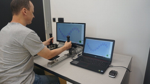 Figure 1. View of the test stand for the performance of bimanual coordination tasks, consisting of a screen that required the movement of two cursors (one per hand) on two sinusoid curves (bigger curve, red; smaller curve, blue). The joysticks were sensitive to up–down and left–right forces.