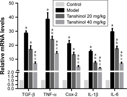 Figure 3 Effect of tanshinol on inflammatory factors (TGF-β, TNF-α, Cox-2, IL-1β, and IL-6) in CCl4-induced liver tissues.Notes: ap<0.05, compared with the control group; bp<0.05, compared with the model group; cp<0.05, compared with the tanshinol 20 mg/kg group.Abbreviations: Cox-2, cyclooxygenase-2; IL, interleukin; TNF-α, tumor necrosis factor-α; TGF-β, transforming growth factor-β.