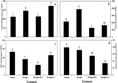 Figure 2. The effect of drought stress, PEN, and Ca on total phenol (A), flavonol (B), flavonoid (C), and anthocyanin (D) in canola seed. Vertical bars indicate mean ± SE of three replicates. Different letters indicate significant differences at P < 0.05.