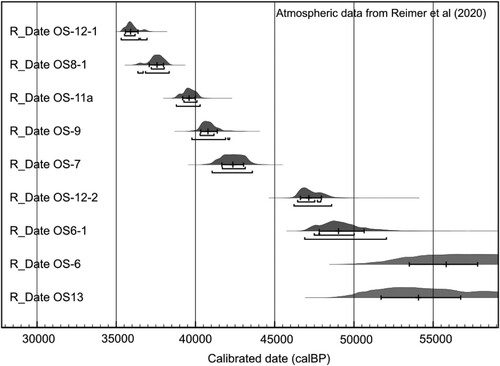 Figure 2. Probability distribution of 14C ages. For details, see Table 1.