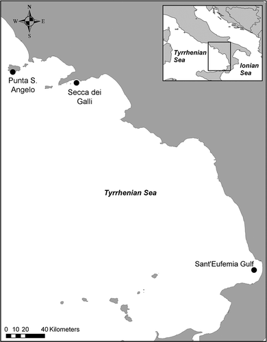 Figure 1. Map of the sampling regions. Locations of the explored areas along the western Tyrrhenian coast: Ischia Island, shoal Secca dei Galli and S. Eufemia Gulf (black dots).