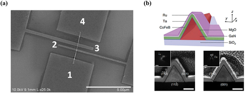 Figure 10. (a) A SEM figure of the lateral spin valve fabricated on a 4 long NW using e-beam lithography. Electrodes 1 and 4 are non-ferromagnetic Ti/Au detector contacts and Electrodes 2 and 3 are the ferromagnetic tunnel contacts [Citation99]. (b) Schematic cross-sectional view of ferromagnetic electrode in contact with the GaN NW and the high-angle annular dark field images with the 40 nm scale bars [Citation100].