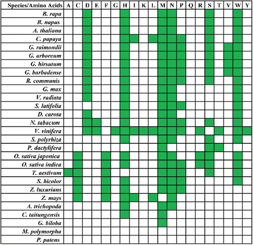 Figure 3. Distribution of chloroplast-derived tRNA genes in land plant mitogenomes (in green).