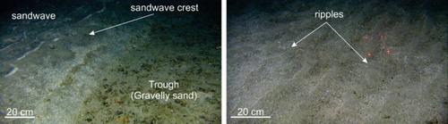 Figure 9. Sandwaves and sand ripples at 550 m water depth. See Figure 1 for location.