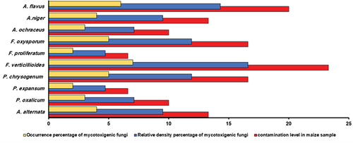 Figure 2. The percentage of occurrence percentage, relative density of mycotoxigenic fungi, and contamination level in maize sample.
