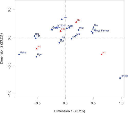 Fig. 1 (Colour online) Correspondence analysis biplot of the contingency table involving wheat differential line, isolate sampling location and isolate host source for honeydew production (H1 to H4). The graph is derived from the eigenanalysis of these contingency tables. The first eigenvector accounted for 73.2% of the variation in the contingency tables, and the second eigenvector accounted for 23.2% of the variation. The path from H1 to H4 indicates increasing honeydew production with means of 1.0, 2.0, 3.0 and 4.0 for H1, H2, H3 and H4, respectively. Wheat differential lines: 9260B-173A (9260B), ‘Kyle’, ‘Melita’, HY630, ‘Kenya Farmer’, ‘Lee’, ‘Vista’, ‘Cadillac’. Isolate sampling location: United Kingdom (UK), Alberta (AB), Saskatchewan (SK), Manitoba (MB). Isolate host source: rye (Rye), blackgrass (BG), triticale (Tri), durum wheat (Dur), hexaploid wheat (Wht), oats (Oat), barley (Bar).