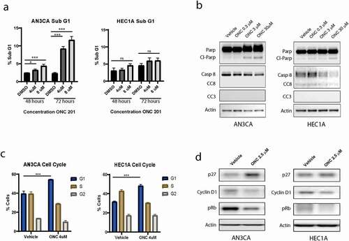 Figure 2. The effect of ONC 201 is predominantly antiproliferative, associated with cell cycle arrest and only slightly increased cell death