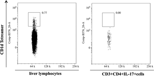 Figure 4.  Comparison of staining for CD1d tetramer (NKT cell marker) in total hepatic lymphocytes (left panel) and hepatic lymphocytes that stain positive for CD3/CD4/IL-17 from Figure 3 (right panel). The x-axis is side scatter (SSC).