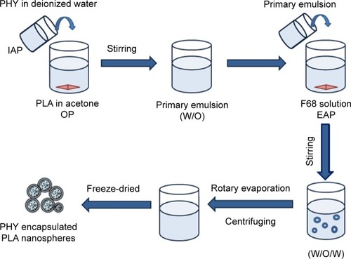 Figure 1 Schematic illustration of the fabrication process of PHYP and empty PLA nanospheres.Note: The formulations were prepared by the double emulsion solvent evaporation method and stored at 4°C prior to usage.Abbreviations: PHYP, pachyman-loaded poly(d,l-lactic acid); PLA, polylactide; PHY, pachyman; IAP, internal aqueous phase; OP, organic phase; EAP, external aqueous phase.