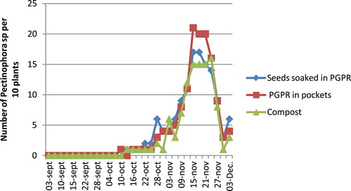 Figure 4. Population dynamics of P. gossypiella in the tested treatments