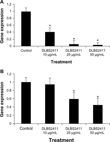 Figure 1 Expression of hydrogen potassium adenosine triphosphatase studied on (A) human embryonic kidney 293 cells and (B) gastric parietal cells after treatment with DLBS2411. The gene expressions were analyzed by real-time polymerase chain reaction.