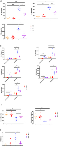 Figure 2 Cytokine concentrations produced by LPL cells, Se concentrations in serum and colon tissue and MPO activity. (A) Unstimulated cells; (B) LPL cells with or without anti-CD3 and anti-CD28 mAbs; (C) Se concentrations in serum and colon tissue. (D) MPO activity in colon tissue. The values are expressed as the mean. (*P<0.05; **P < 0.01; ***P < 0.001) (n = 6).