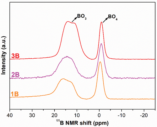 Figure 3. 11B MAS-NMR spectra of 1B, 2B and 3B bioglasses.