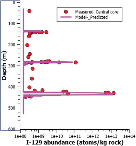 Fig. 8. Comparison of the modeled 129I concentration profile with the measured.