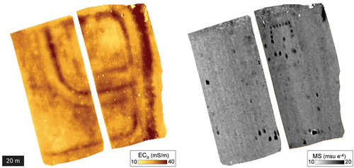 Figure 9. EMI dataset showing clear electrical contrasts (left) indicating enclosure ditch features at a medieval abbey in Belgium. Note also the rectilinear feature visible at top right in the magnetic susceptibility data (right), the individual anomalies of which represent brick structural foundations (De Smedt, Van Meirvenne, et al. Citation2013).