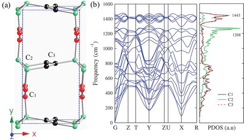 Figure 7. (a) The crystal structure of so-C 12 in Pbcm (D2h11) symmetry with lattice parameters a = 4.313 Å, b = 8.604 Å, and c = 2.461 Å, occupying the 4d1 (0.0507, 0.2104, 0.25), 4d2 (0.0763, 0.0351, 0.25), and 4d3 (0.5783, 0.5052, 0.25) Wyckoff positions denoted by C 1, C 2 and C 3, respectively. (b) Phonon band structures and partial density of states (PDOS) for so-C 12. The peaks around 1443 cm −1 and 1268 cm −1 are related to sp2 and sp3 bonding, respectively.