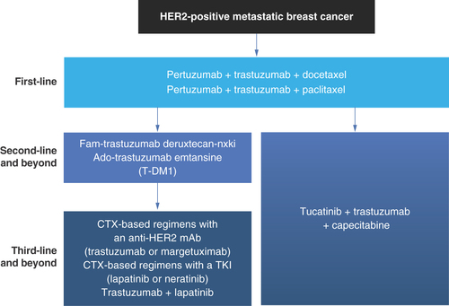 Figure 4. Overall landscape of treatments for HER2-positive metastatic breast cancer in the first-, second- and third-line settings.CTX: Chemotherapy; mAb: Monoclonal antibody; TKI: Tyrosine kinase inhibitor.