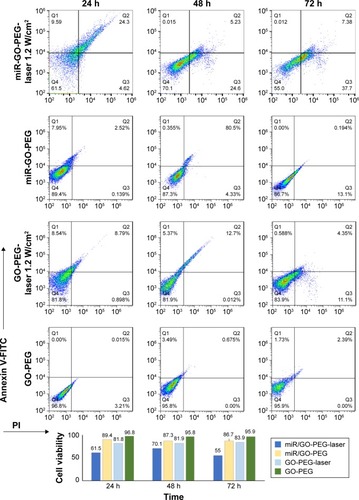 Figure 7 Amount of apoptosis and necrosis was detected by Annexin/PI kit for GO-PEG, GO-PEG/miR-101 with and without laser irradiation. The viability of cells is visualized by bar chart.Abbreviations: GO, graphene oxide; PEG, polyethylene glycol; P-l-Arg, poly-l-arginine; FITC, fluorescein isothiocyanate; PI, propidium iodide.