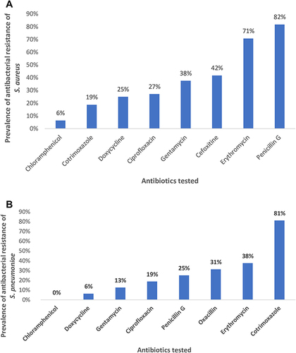 Figure 3 (A) Antibacterial resistance prevalence of S. aureus isolates (n = 48). (B) Antibacterial resistance prevalence of S. pneumoniae isolates (n = 16).