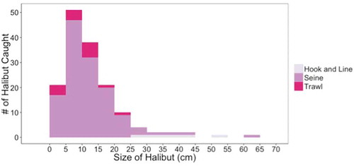 Figure 6. Stacked histogram of the total number of California Halibut captured in the HBWC, by size for each gear type.