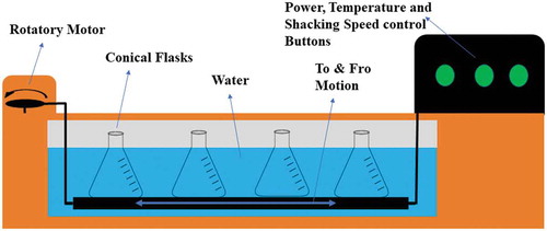 Figure 1. Schematic diagram of maceration water bath