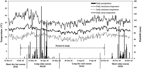 Figure 3. Synopsis of seasonal rainfall and temperature patterns in the study (2018 data of Kitui meteorological station).