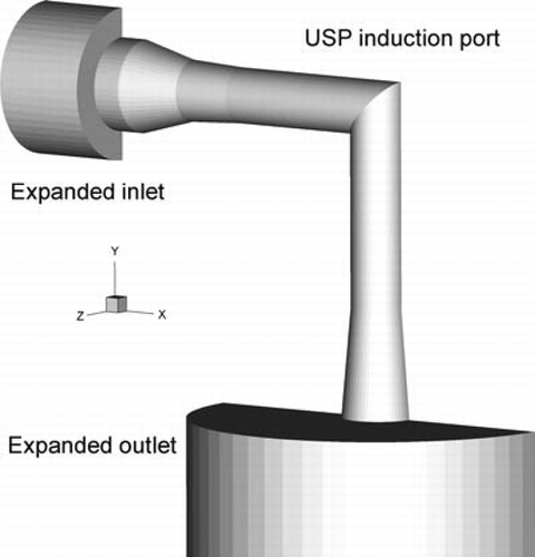 FIG. 3 Computational geometry of the USP induction port internal surface with expanded inlet and outlet sections to approximate experimental conditions. The expanded inlet section was used to represent exposure to an open environment. The expanded outlet section was used to approximate downstream conditions.